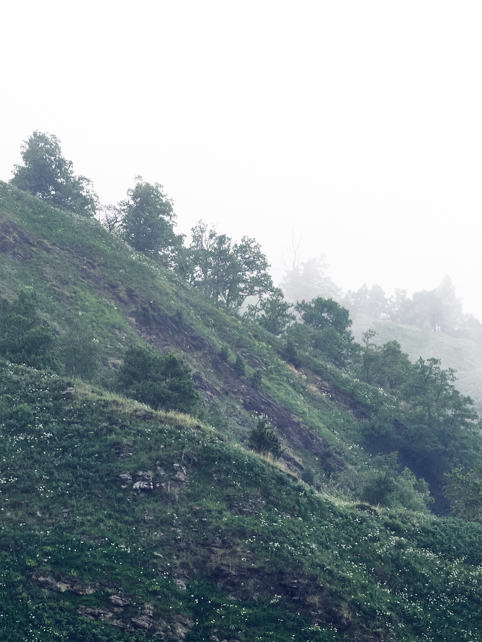 Photographie poétique et mystérieuse d'un paysage de montagne dans la brume