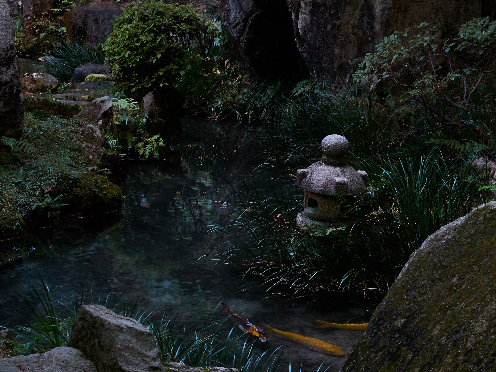 Photographie de paysage