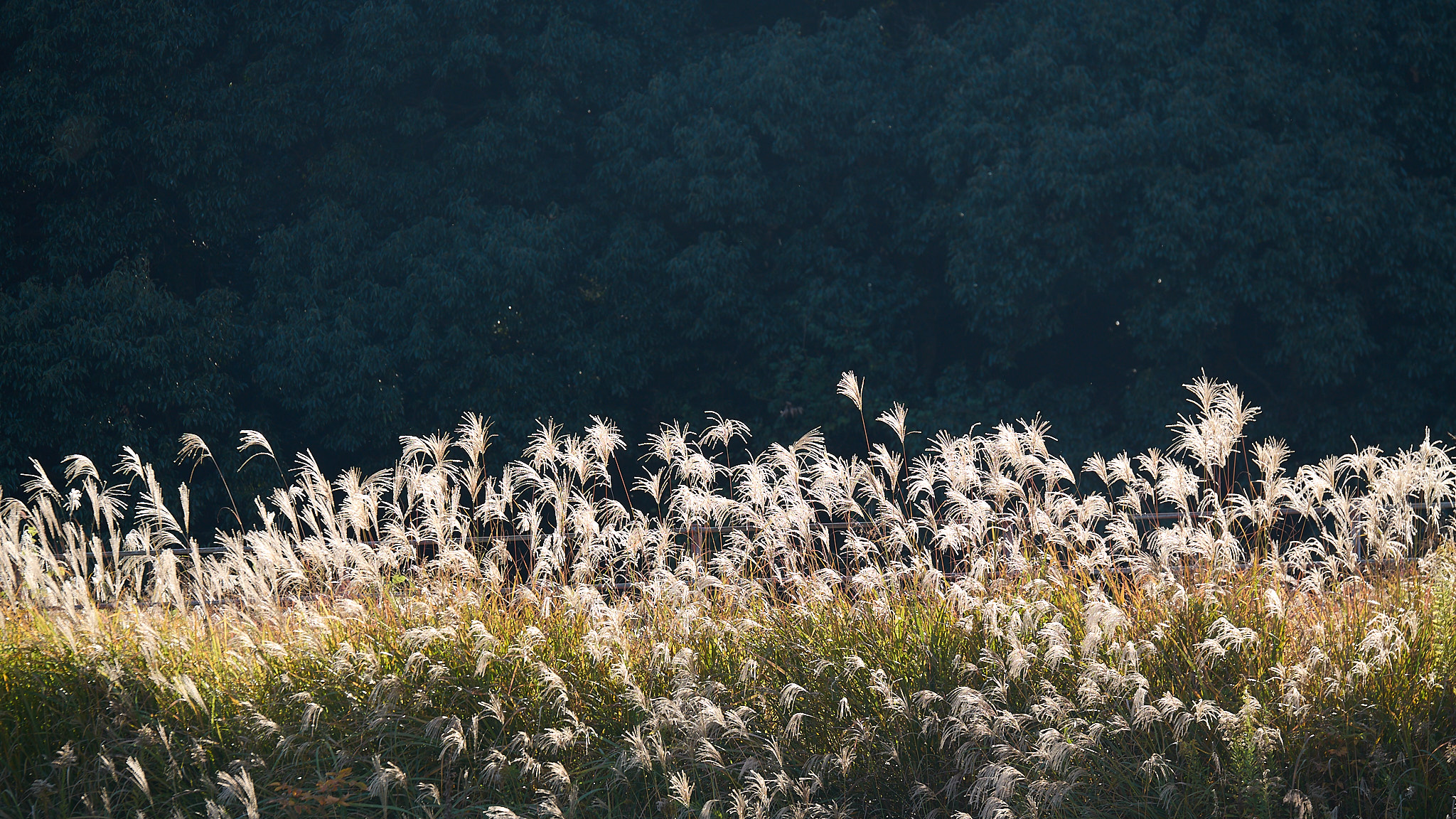Photogrpahie de paysage poétique