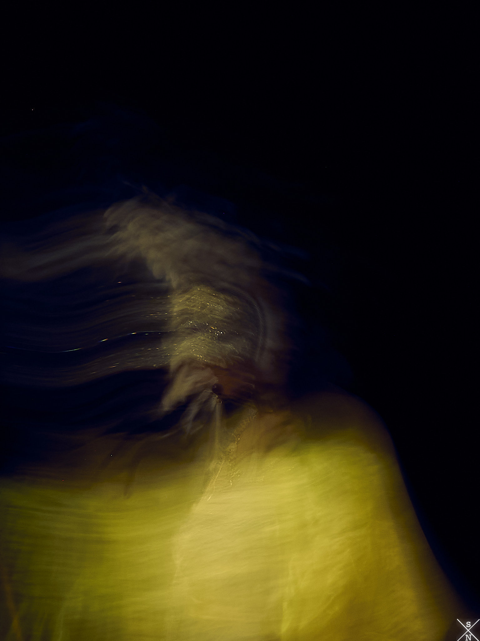 Portrait artistique